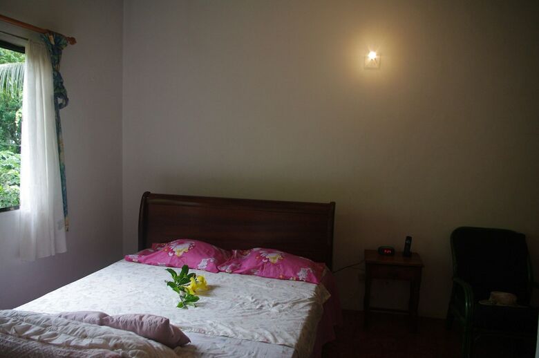 Hotel Papaya Guesthouse