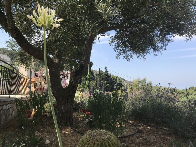 Guest House B&B Pietra Bianca