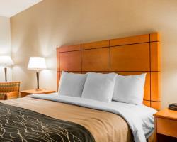 Hotel Comfort Inn Metro Airport