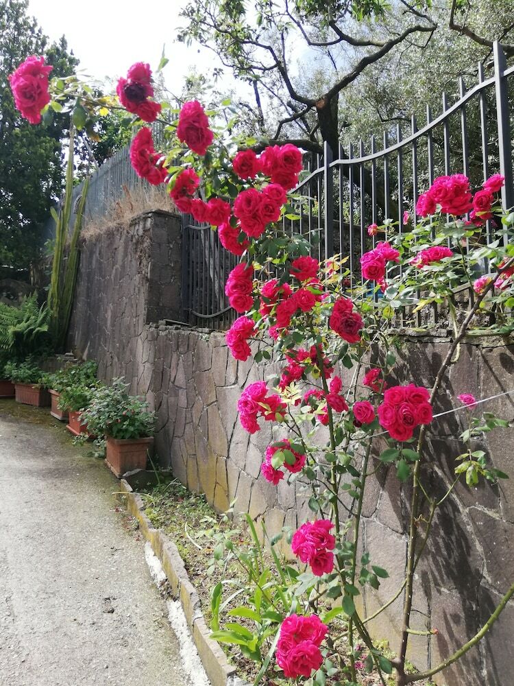 Bed & Breakfast Il Giardino