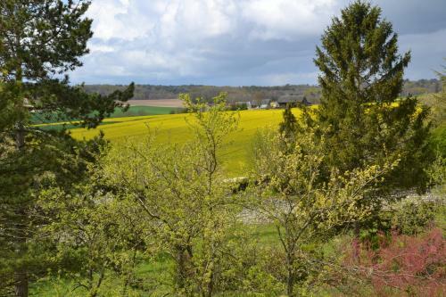 Bed & Breakfast Chambres D'h�tes Ch�teau de La Motte