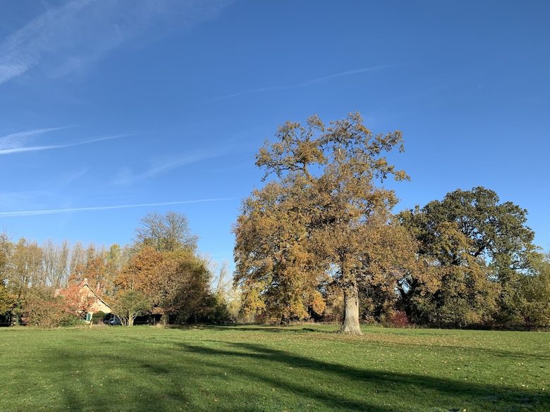 Bed & Breakfast Manoir de Bois En Ardres