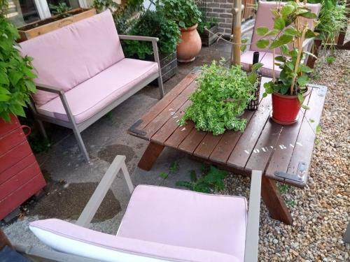 Bed & Breakfast Chambres D'h�tes La Turone