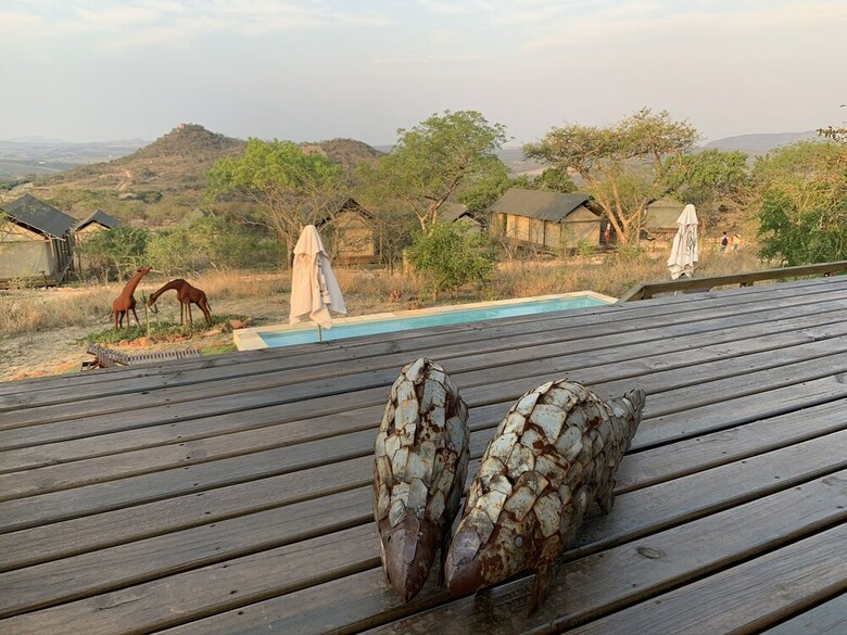 Posada Ndhula Luxury Tented Lodge