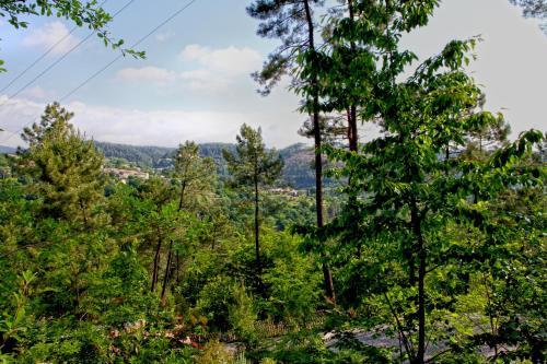 Village de Chalets Camping Bois Simonet