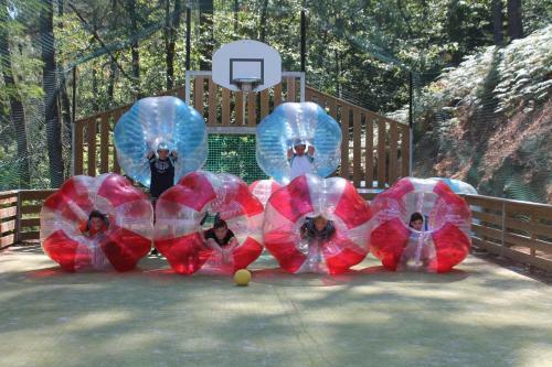 Village de Chalets Camping Bois Simonet