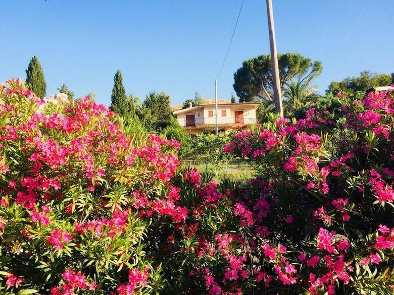 Bed & Breakfast Il Ficodindia