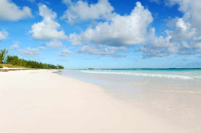 Alfred House & Cottage