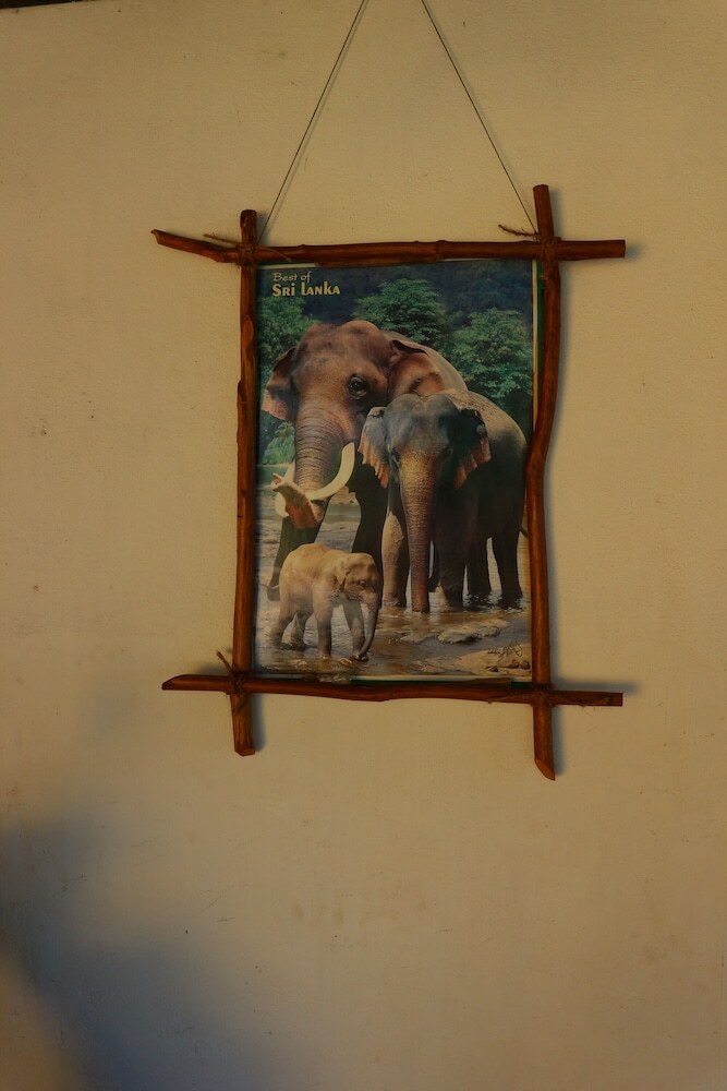 Hotel Senani Guesthouse