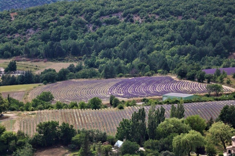 Bed & Breakfast Domaine Des Gendalis
