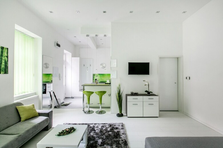 Zirnyi 9 Apartment