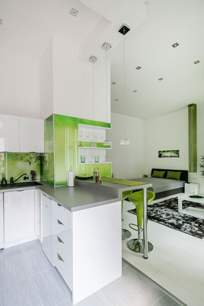 Zirnyi 9 Apartment