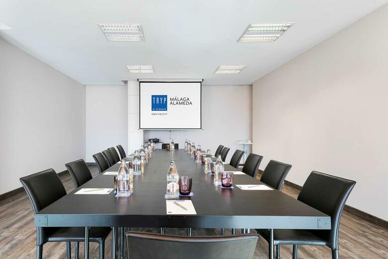 TRYP Malaga Alameda Hotel