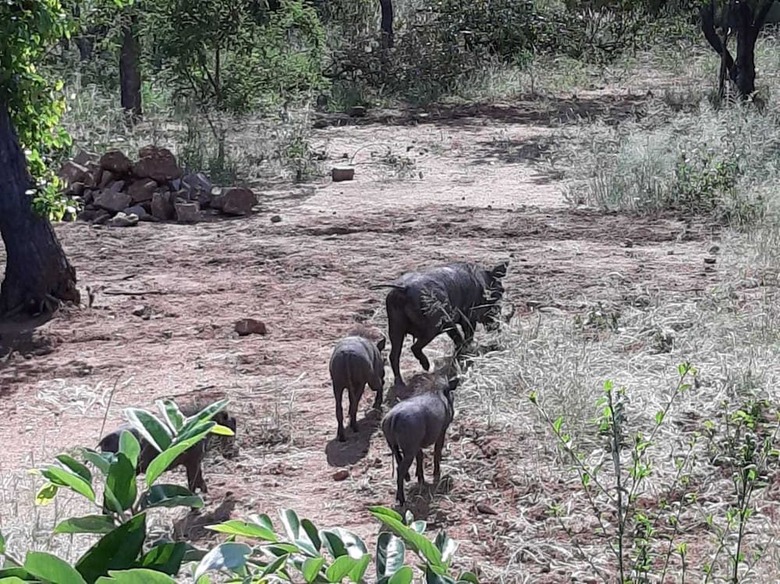 Thula Private Lodge
