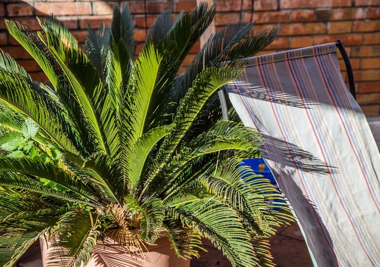 Apartamento Rent In Rome - Marignoli