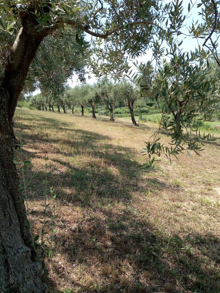 Agroturismo I Girasoli Di Lari