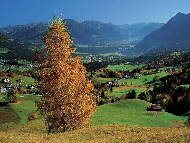 Comfortable Apartment Near Ski Area In Sonntag