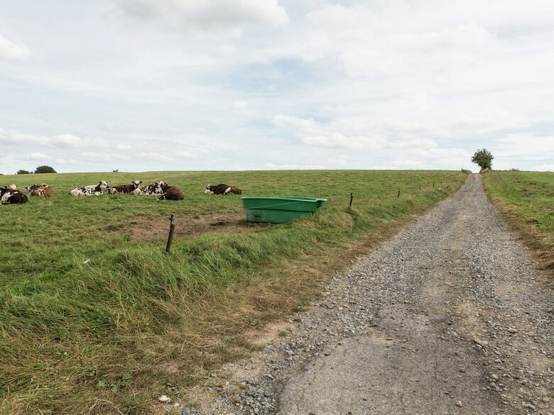 Affluent Chalet In Septon With Whirlpool, Sauna & Jacuzzi