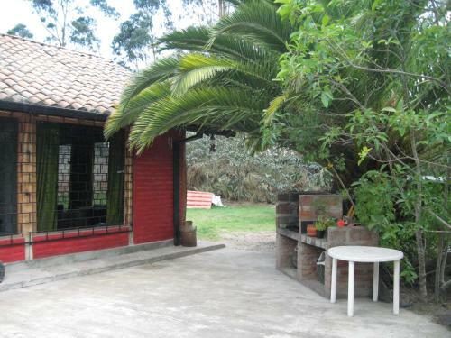 Arie's Cabin