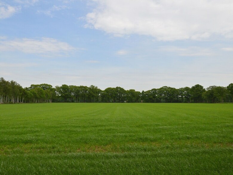 Splendid Holiday Home In Eibergen Guelders With Garden