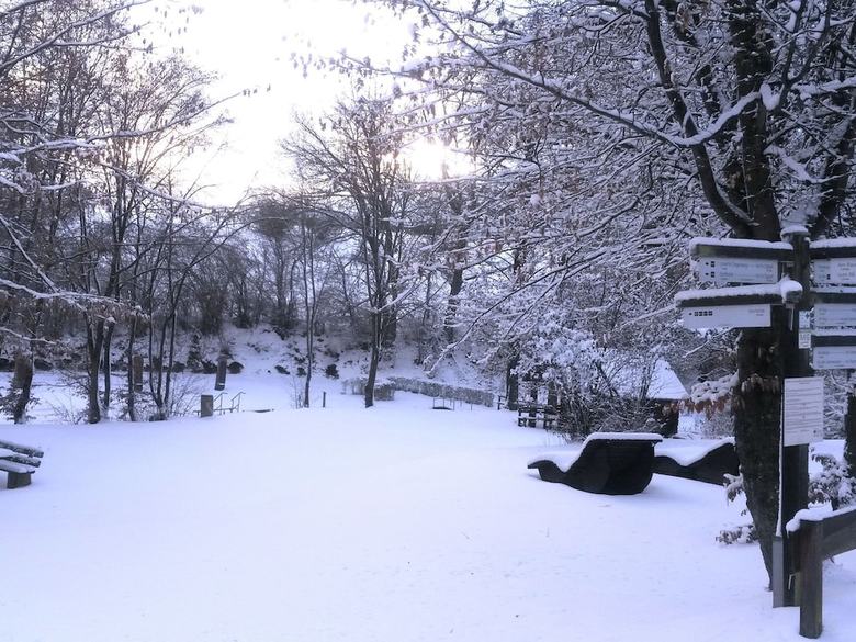 Pleasing Apartment In Dreislar Near Ski Area