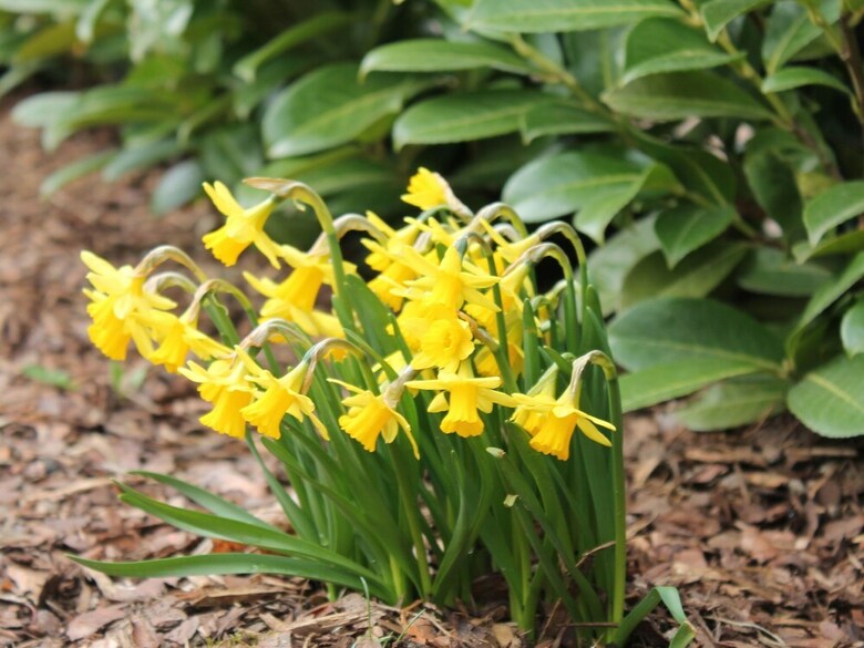 Modern Apartment With Private Terrace In Kr�pelin Germany