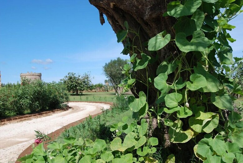 Agroturismo Masseria Provenzani