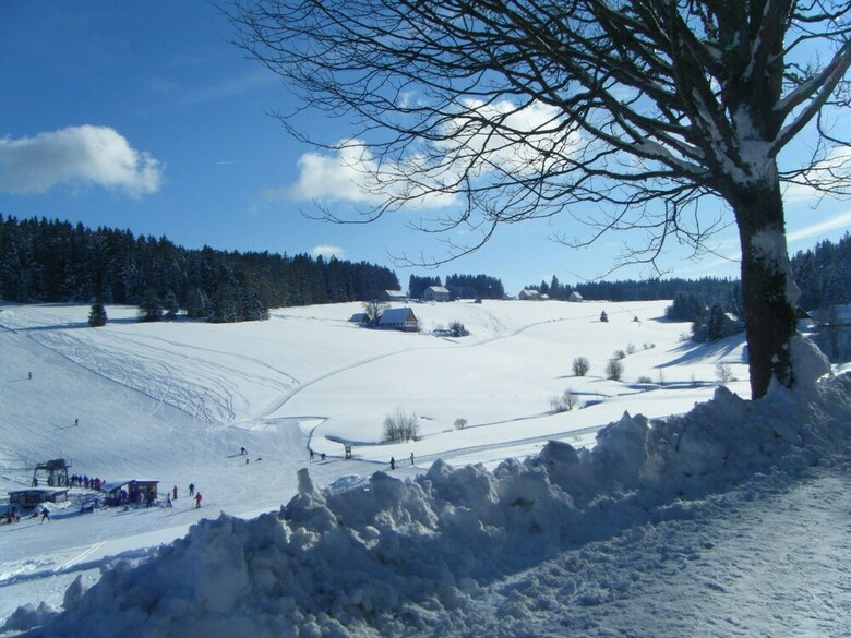 Charming Apartment In Sch�nwald Im Schwarzwald With Sauna