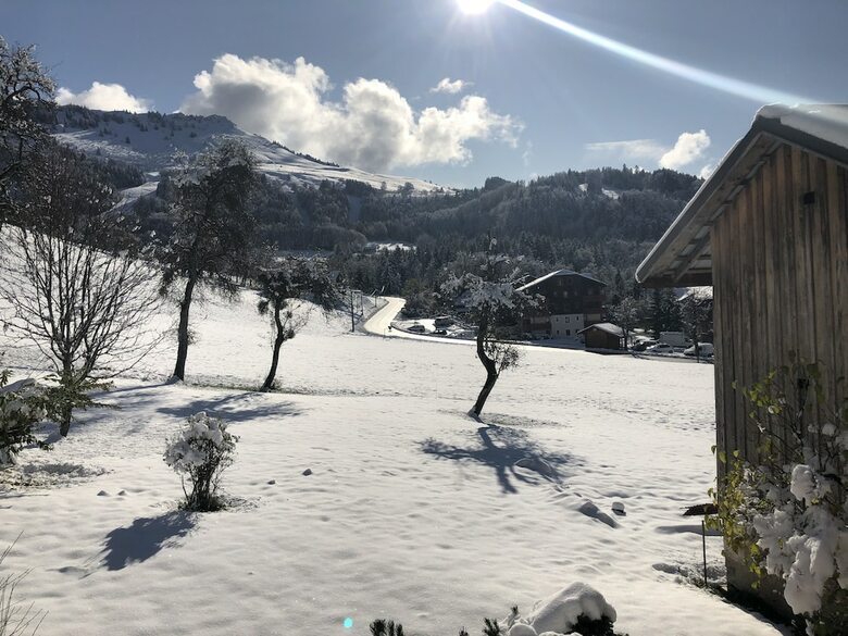 Hotel L'epervier Blanc