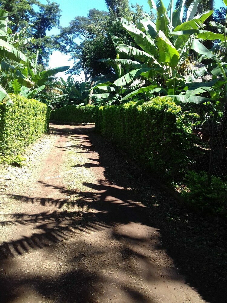 Residencia Doctor Se Temu Rest House