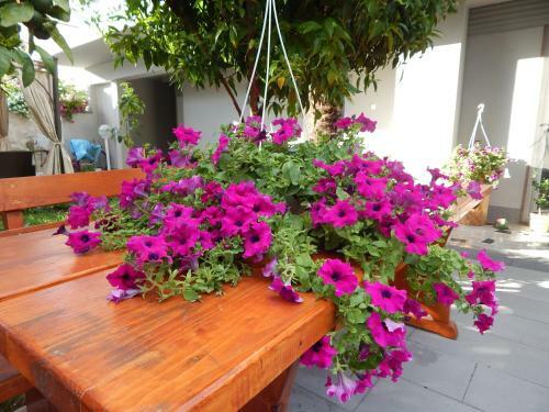 Apartments & Rooms Marinka