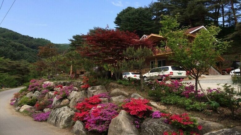 Olga Pension