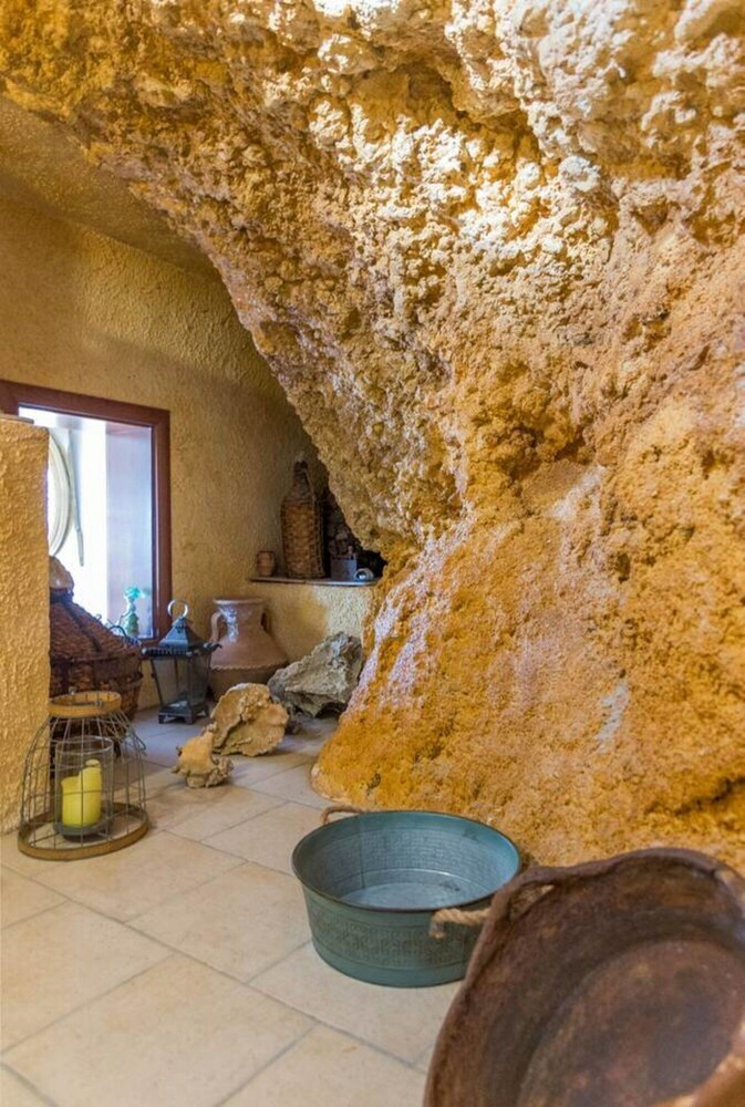 The Rock & The Lemon Tree