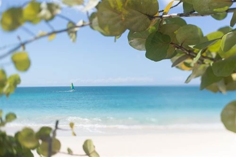 Hotel Spice Island Beach Resort