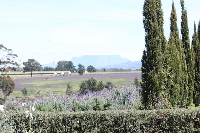Agroturismo Hawksmoor House