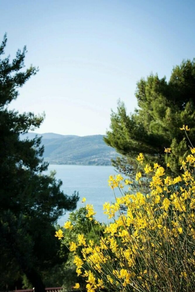 Camping Villaggio Cerquestra