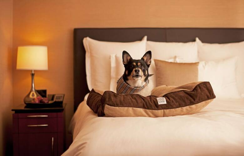 Hotel Hyatt Place Tempe Phoenix Airport