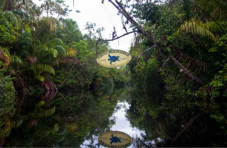 Hotel Turtle Beach Lodge