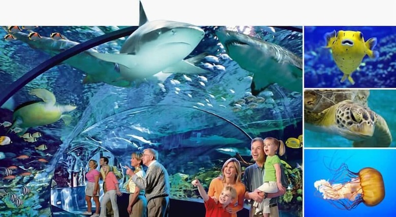 Hotel Accommodation By Willow Brook Lodge