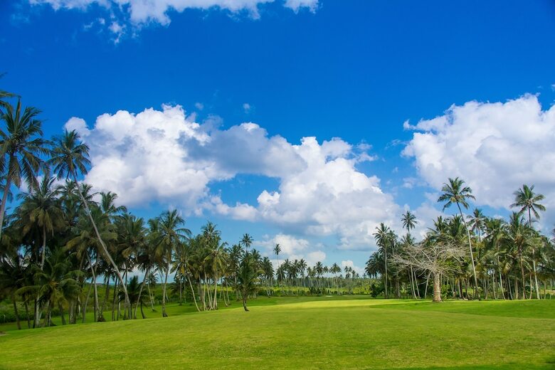 Hotel Sea Cliff Resort & Spa