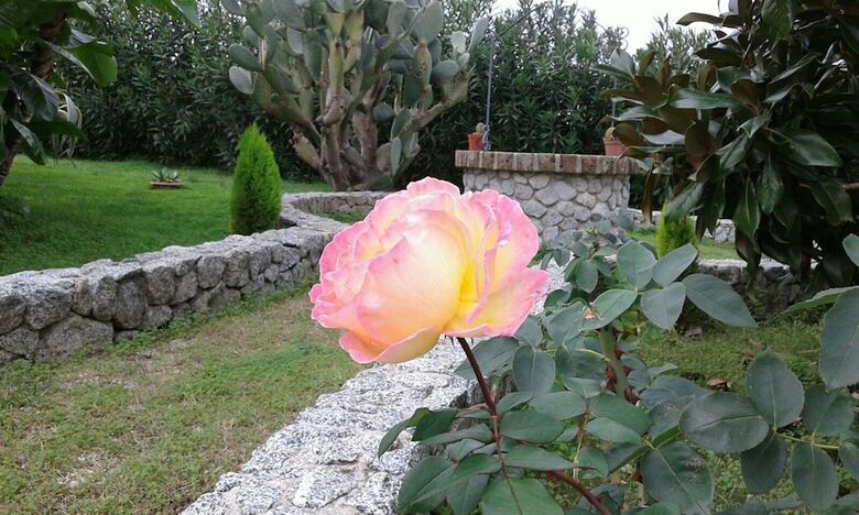 Bed & Breakfast Residenza Il Lungomare