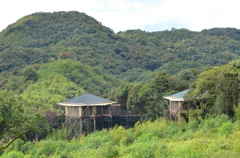 Vinetree Gaoligong Tented Resort