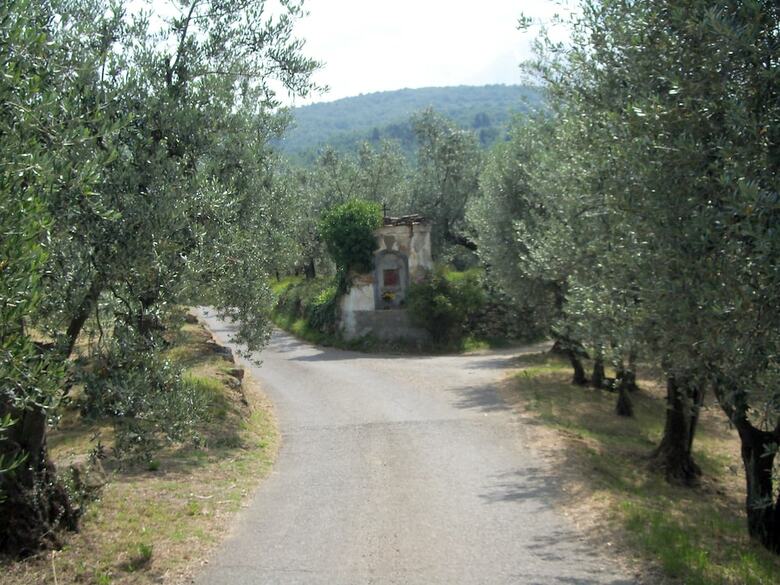 Agroturismo Agriturismo Il Colle