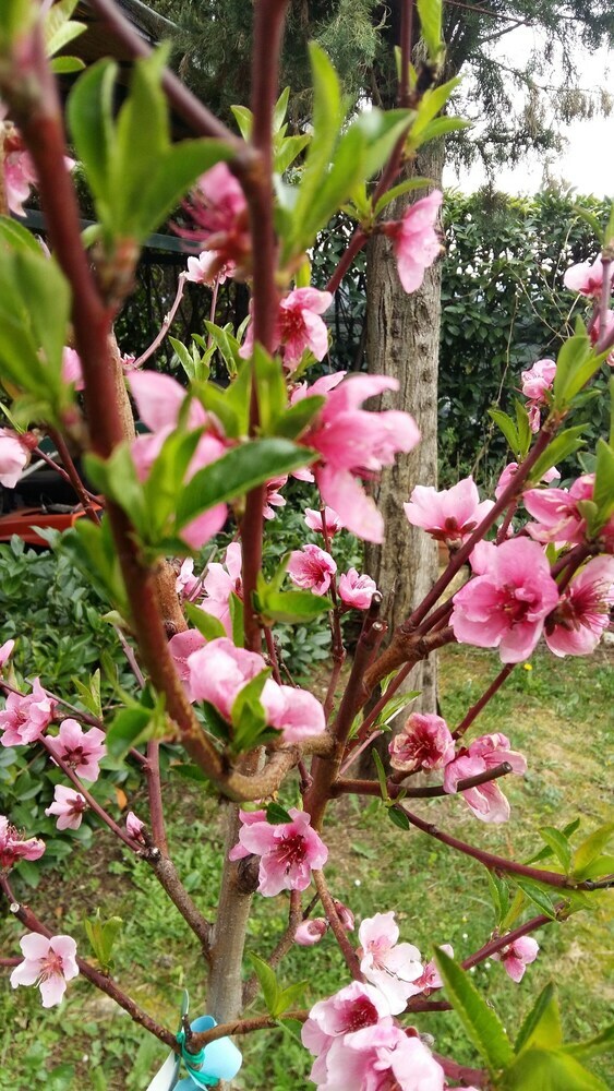 Agroturismo Agriturismo Il Colle