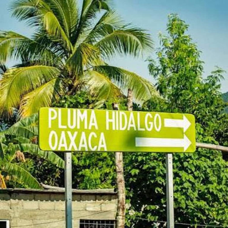 Hotel Glamping Finca Margaritas