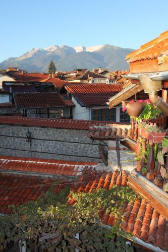 Hostal Dedo Pene Inn
