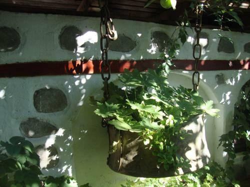 Hostal Guest House Planinski Zdravets