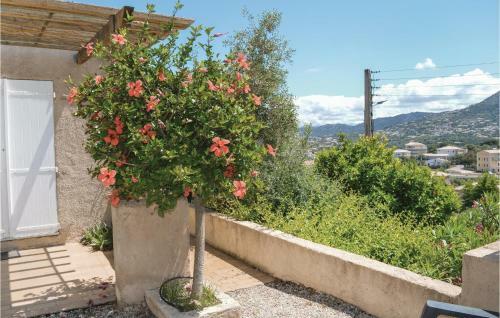 0-bedroom Apartment In Ile Rousse