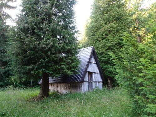 Holiday Home Crkvina