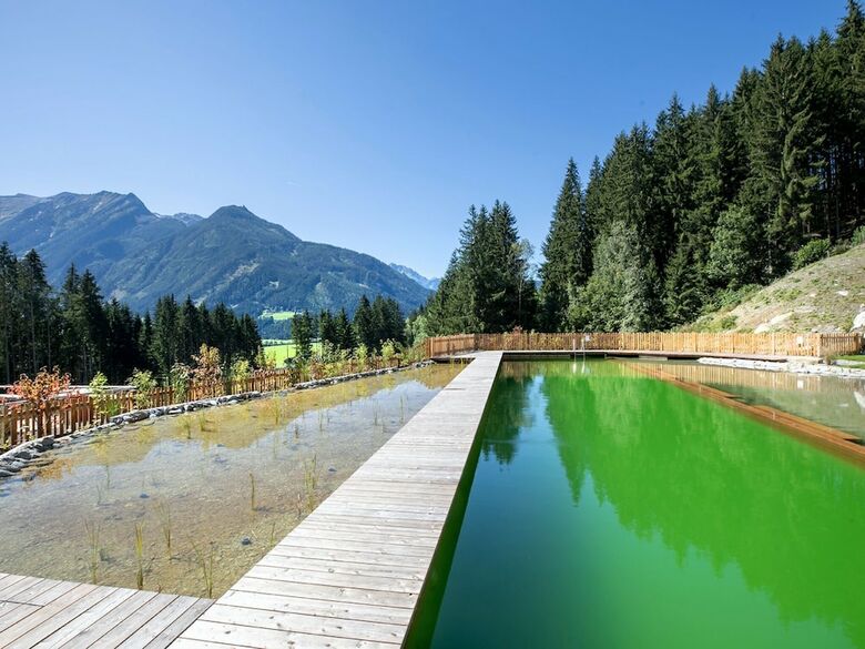 Magnificent Chalet In Neukirchen With Sauna